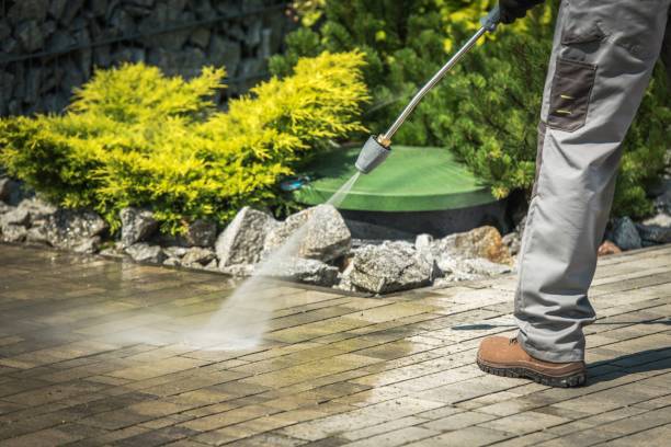 Best Sidewalk and Walkway Cleaning  in St Francis, WI